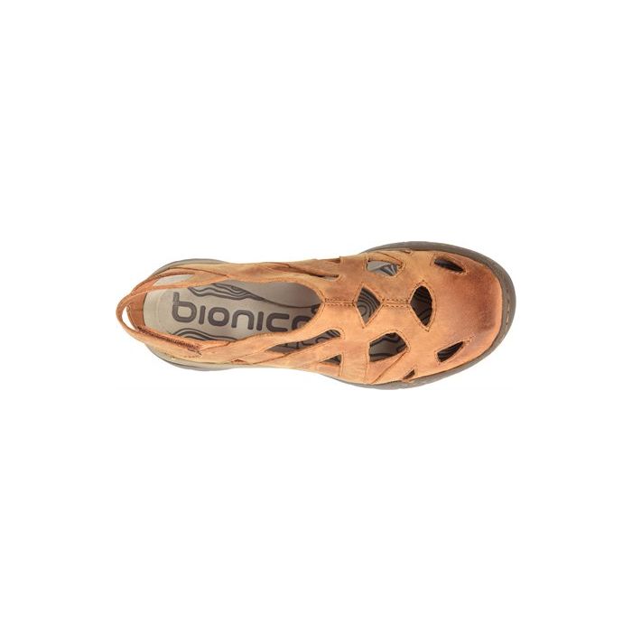 BIONICA | MACLEAN 2-ALMOND